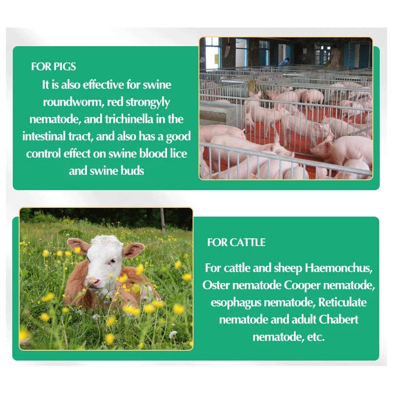 Veterinary internal and external deworming - MyPetDollar.com