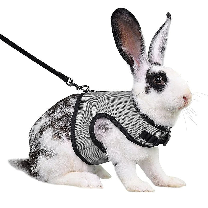 Harness with Leash Set for Rabbits - MyPetDollar.com