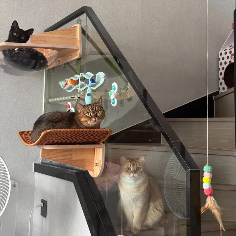 Solid Wood Cat Window Hammock Strong Suction - MyPetDollar.com