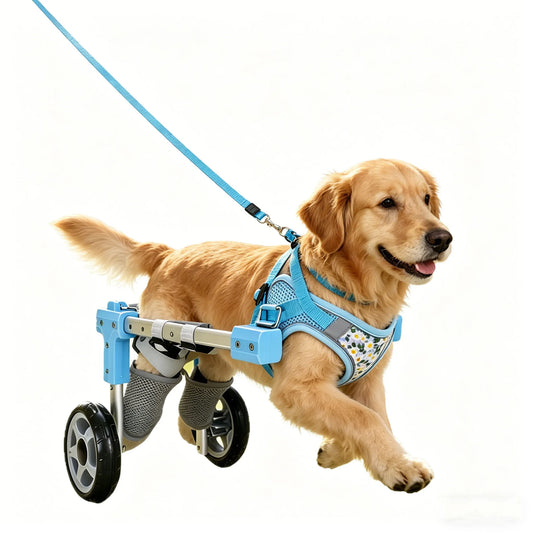 Pet Dog Wheelchair Cart Adjustable Pet - MyPetDollar.com