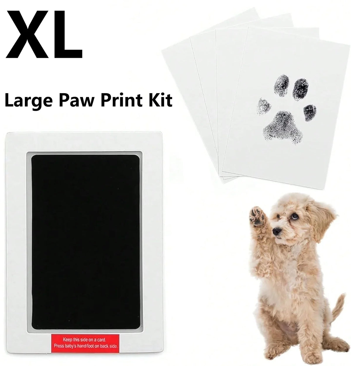 Paw Print Kit - Perfect For Preserving Your - MyPetDollar.com