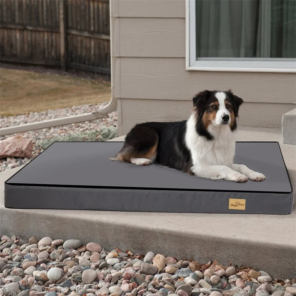 Large Orthopaedic Dog Bed Waterproof Cushion - MyPetDollar.com