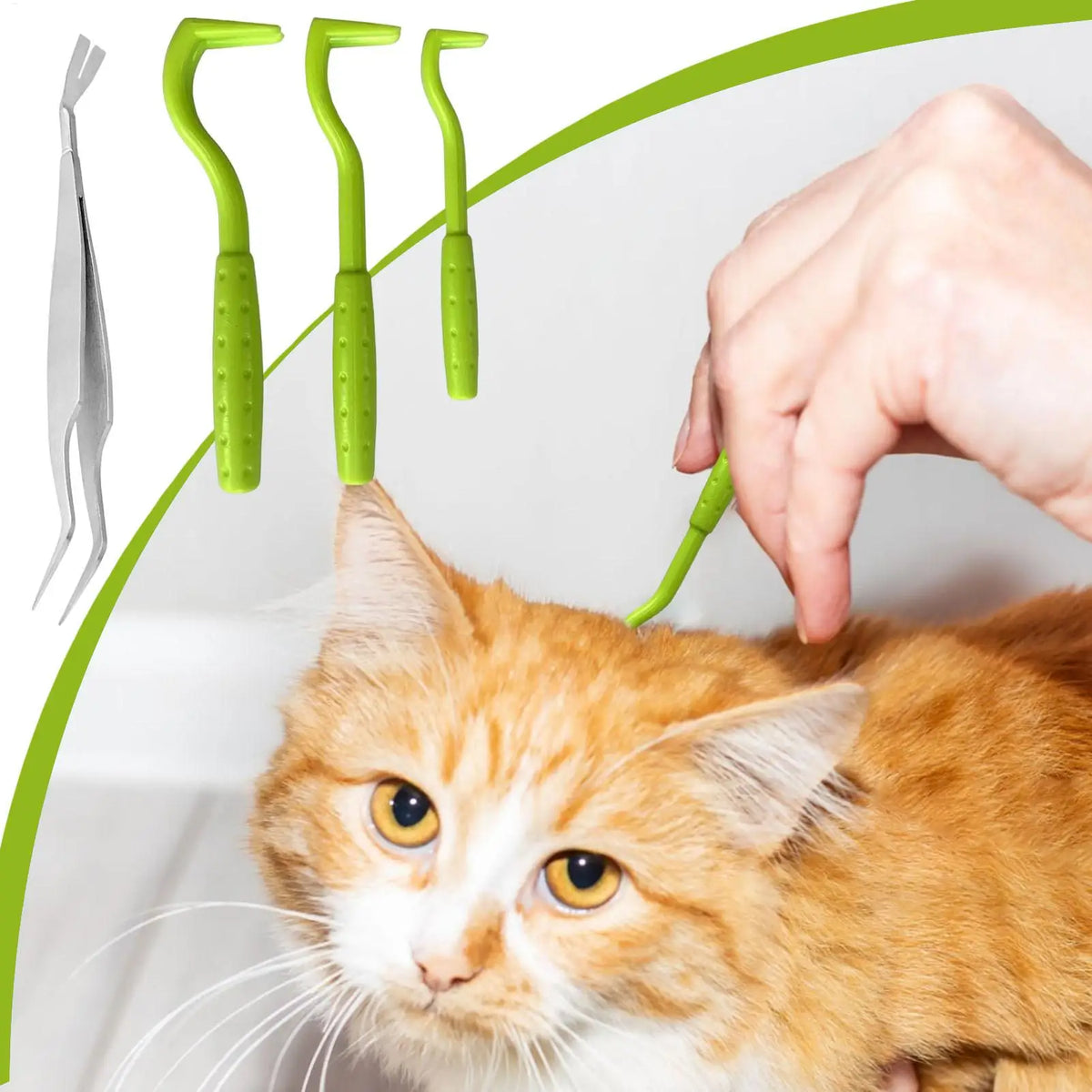 Pet Tick Remover Flea Clip Lice Catcher Flea - MyPetDollar.com