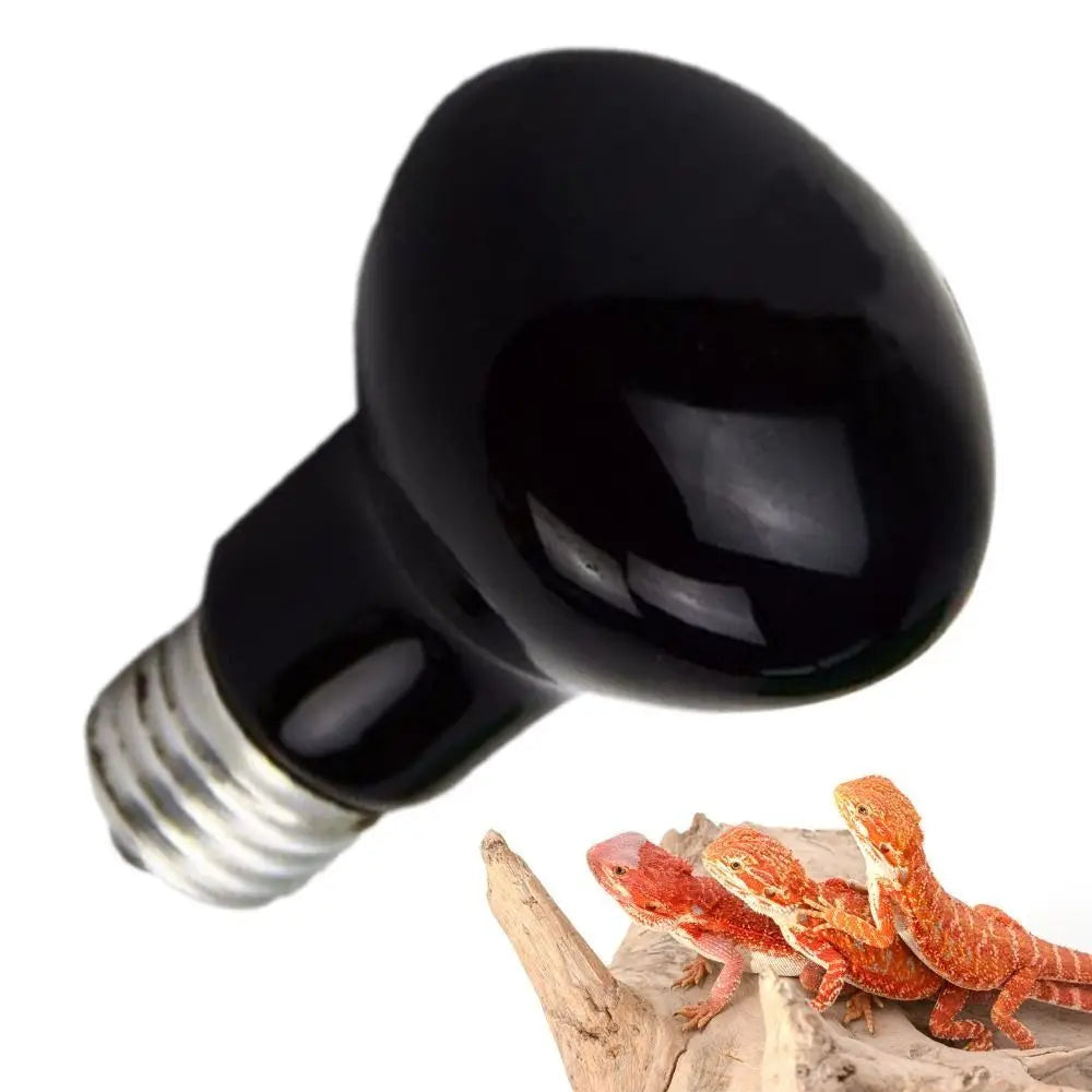 Glass Bulb UVA Led Pet Heating Lamp Infrared - MyPetDollar.com