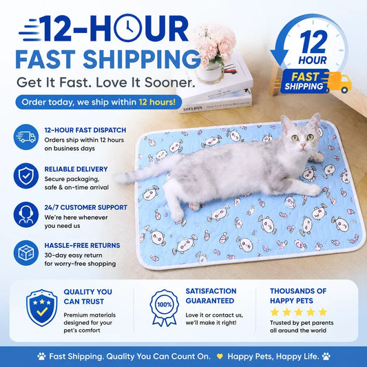 Cooling Pet Mat Ice Silk Summer Pad - MyPetDollar.com
