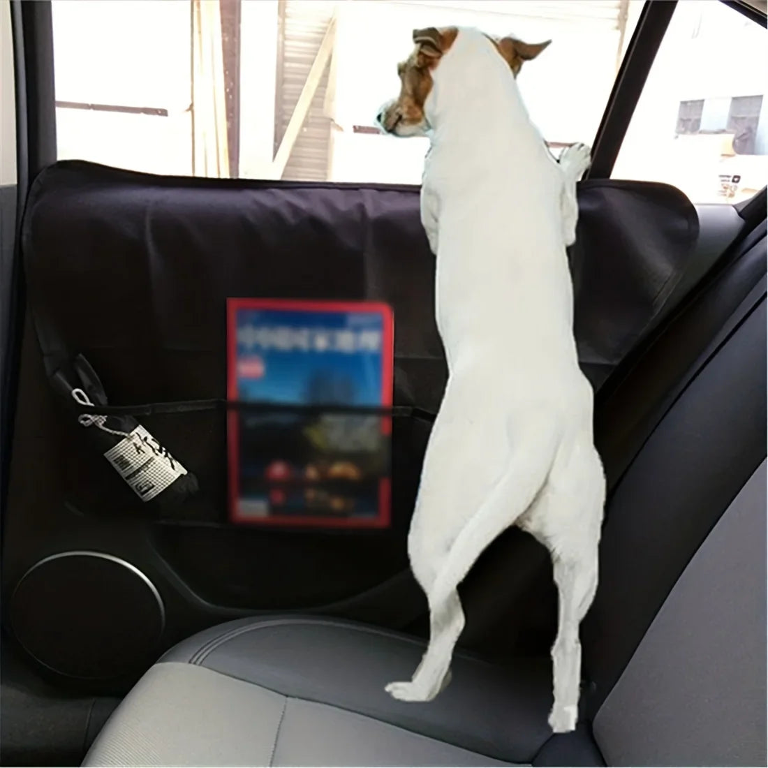 Car Pet Mat Side Door Anti Scratch Anti Kick - MyPetDollar.com