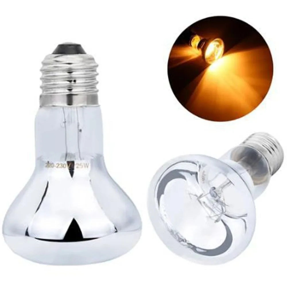 Night Light UVA Led Pet Heating Lamp - MyPetDollar.com