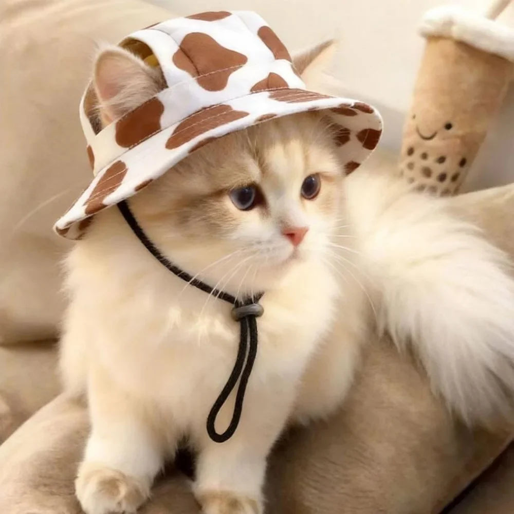Summer Pet Cat Sun Hat Dog hat With Ear - MyPetDollar.com