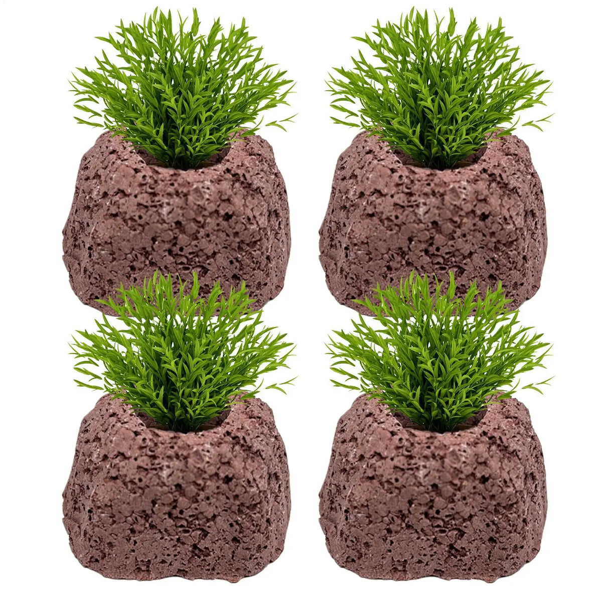 Aquarium Plant Weights 4 Pieces Volcanic - MyPetDollar.com