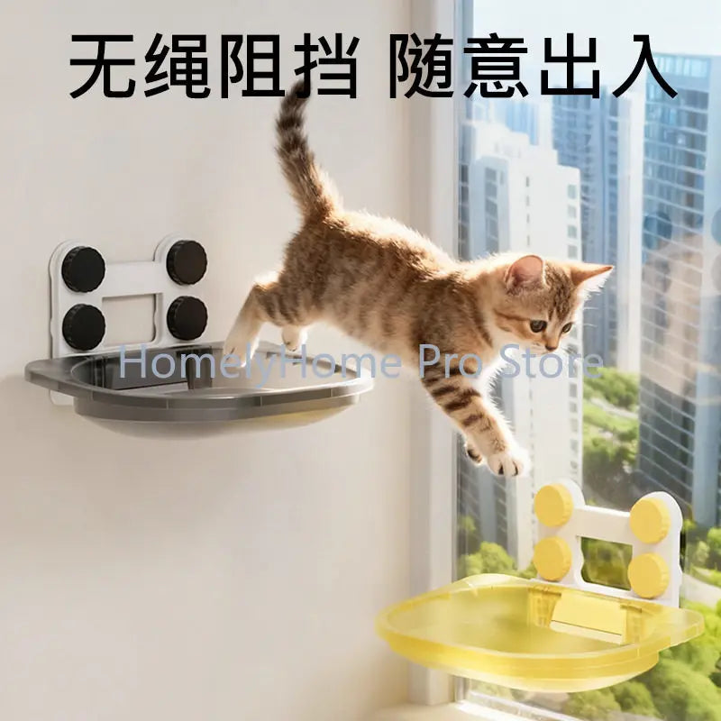 Cat hammock window glass suction cup cat - MyPetDollar.com