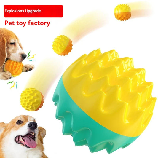 Durable Bite Resistant Elastic Squeaky Chew - MyPetDollar.com