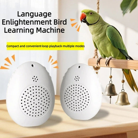 Recording Bird Learning Ma Interactive - MyPetDollar.com