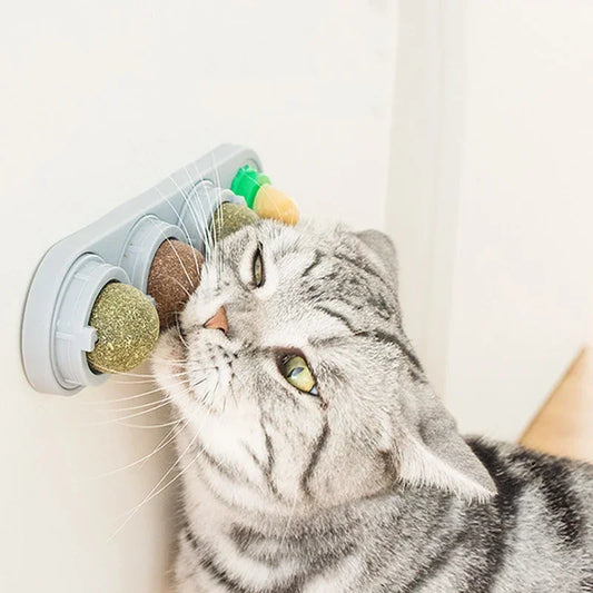 4 in 1 Rotating Catnip Silver Vine Ball - MyPetDollar.com