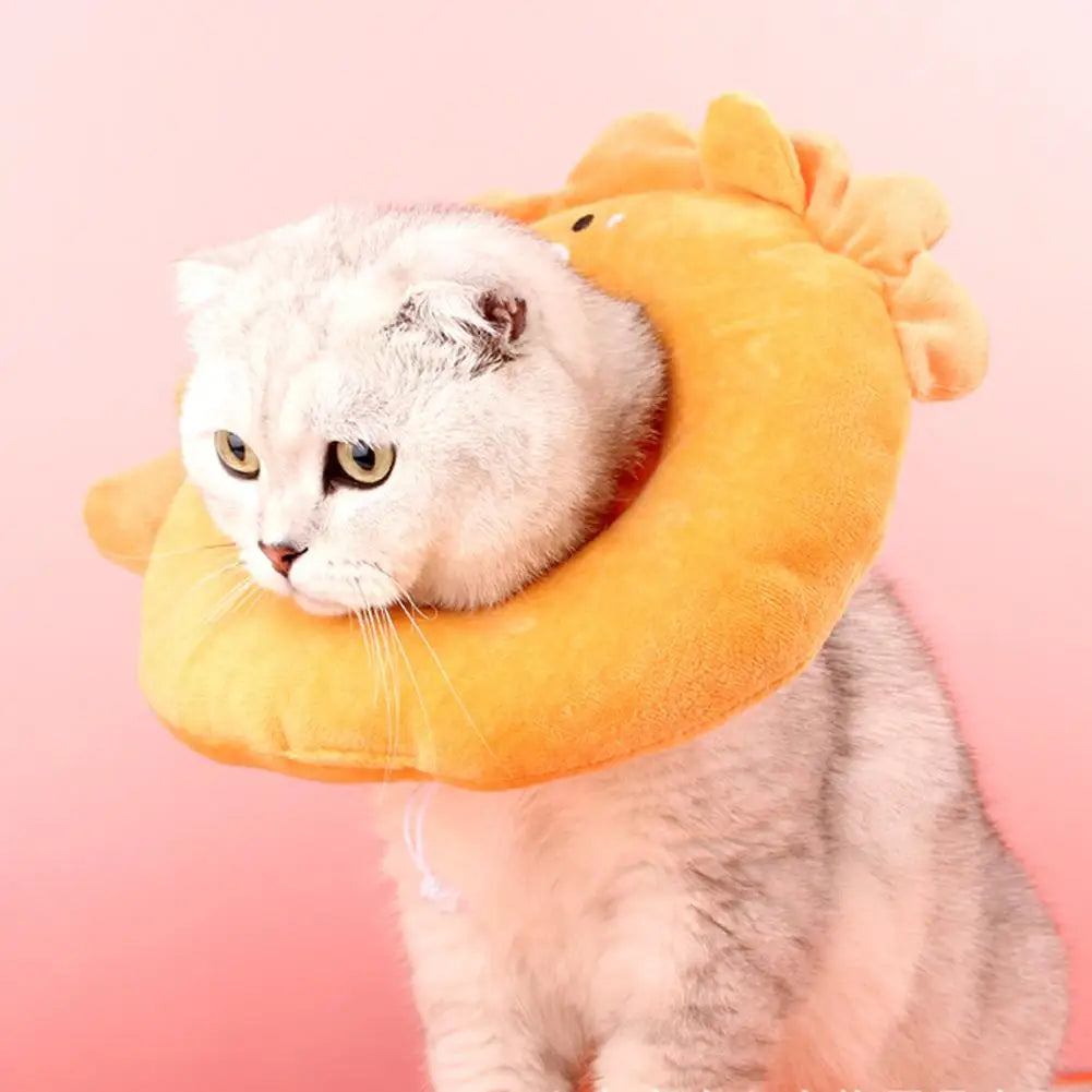 Cute Pet Cat Elizabethan Collar Dog Cat - MyPetDollar.com