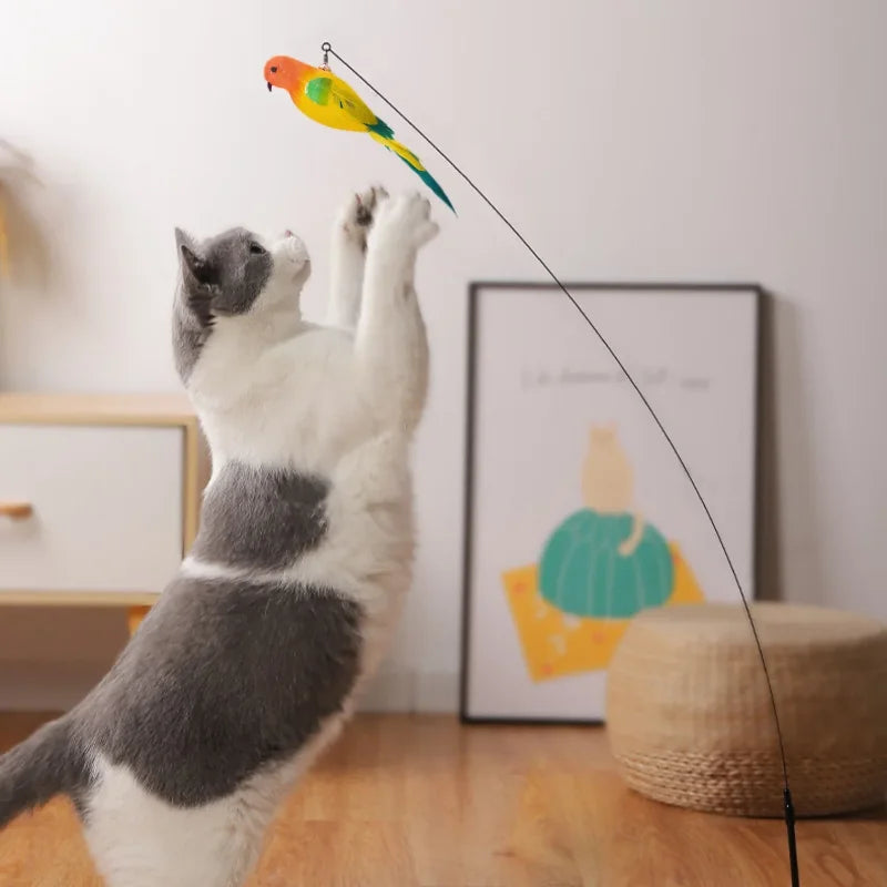 Funny Simulation Bird Cat Toy Feather with - MyPetDollar.com