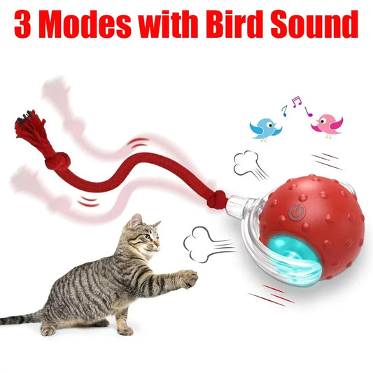 Interactive Cat Plaything Ball with Bird Chirping Super Drive (7 colors)