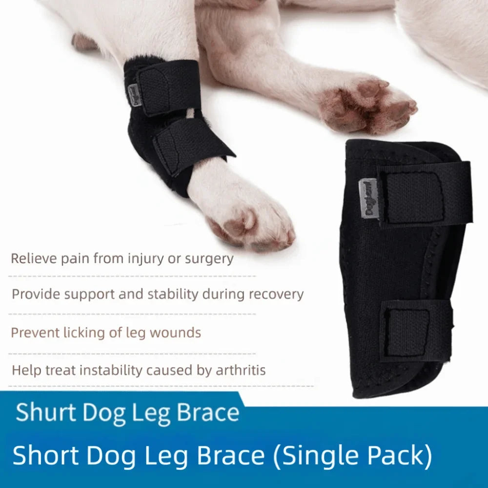 Updated Protects Bandage Dog Protector Cover - MyPetDollar.com