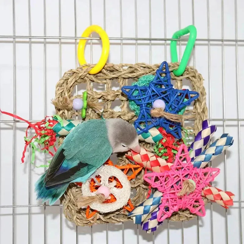 Parrot Bird Toys Foraging Wall Edible - MyPetDollar.com
