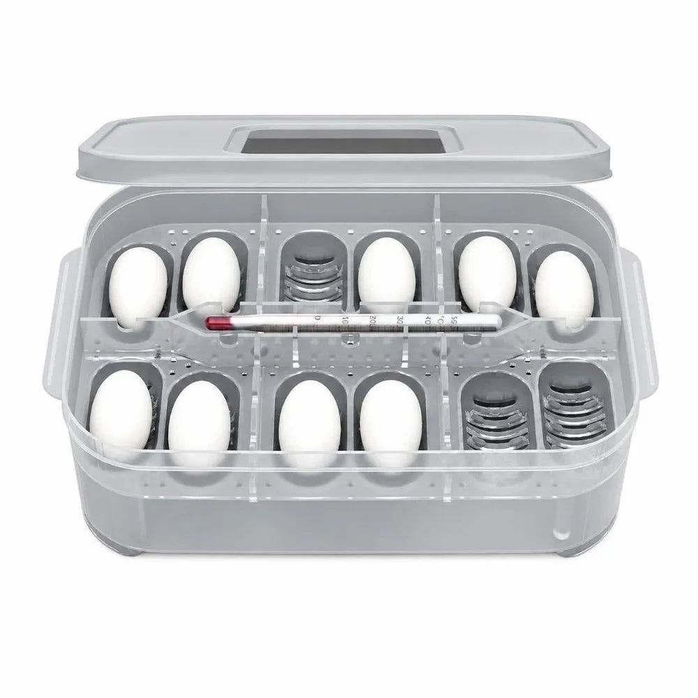 ABS Reptile Egg Incubator with Thermometer Hatching Container – 2 Colors