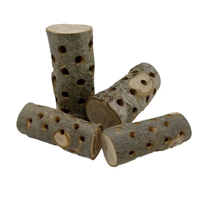 Small Animal Chew Toy Natural Apple Wood for - MyPetDollar.com