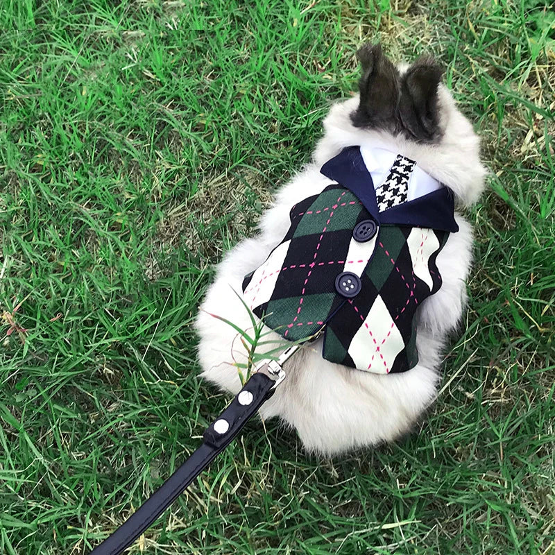 Preppy Style Pet Rabbit Harness and Leash - MyPetDollar.com