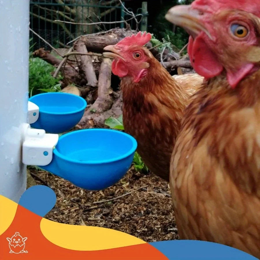 5/10Pcs Automatic Drinking Bowl Chicken - MyPetDollar.com