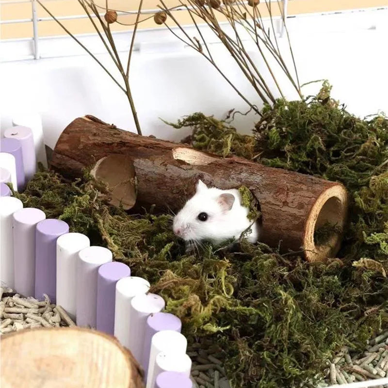 Wooden Hamster Tree Hollow Toy Fir Stump - MyPetDollar.com