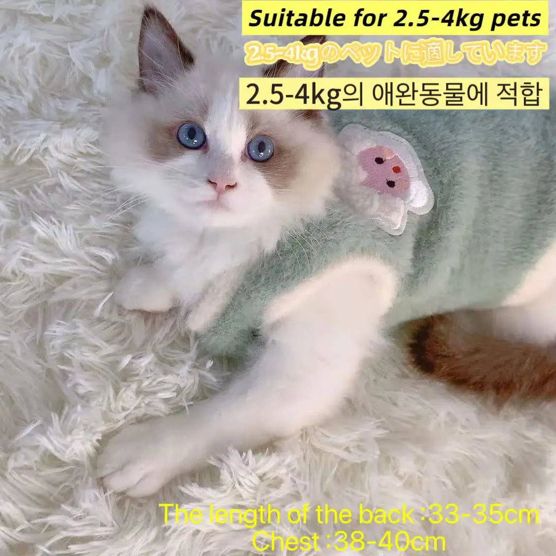 Adorable Autumn and Winter Cat Apparel