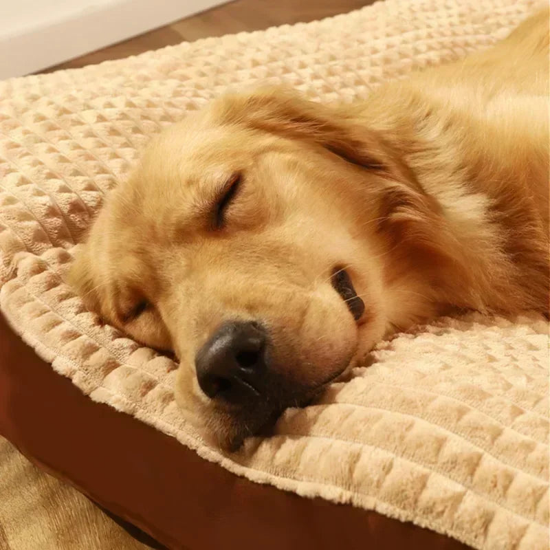 Dogs Sleeping Beds Soft Fleece Pet Blanket - MyPetDollar.com