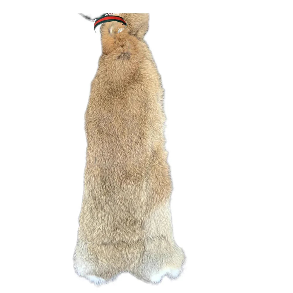 Dog Training Simulation Rabbit Greyhound - MyPetDollar.com