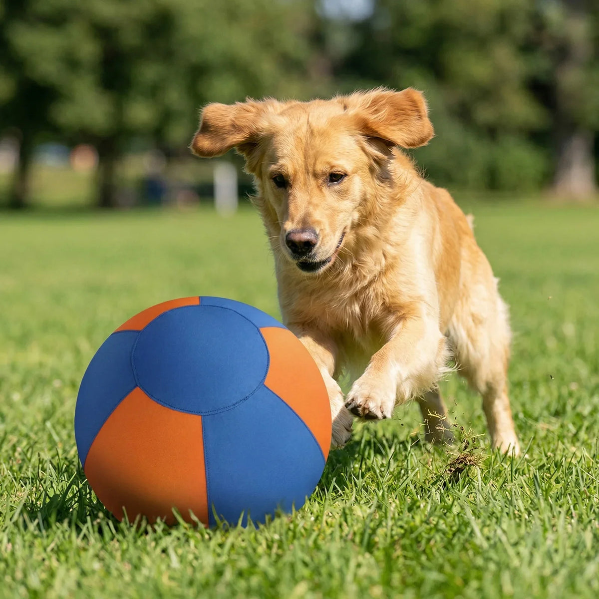 Herding Ball for Dogs with Protective Cover - MyPetDollar.com