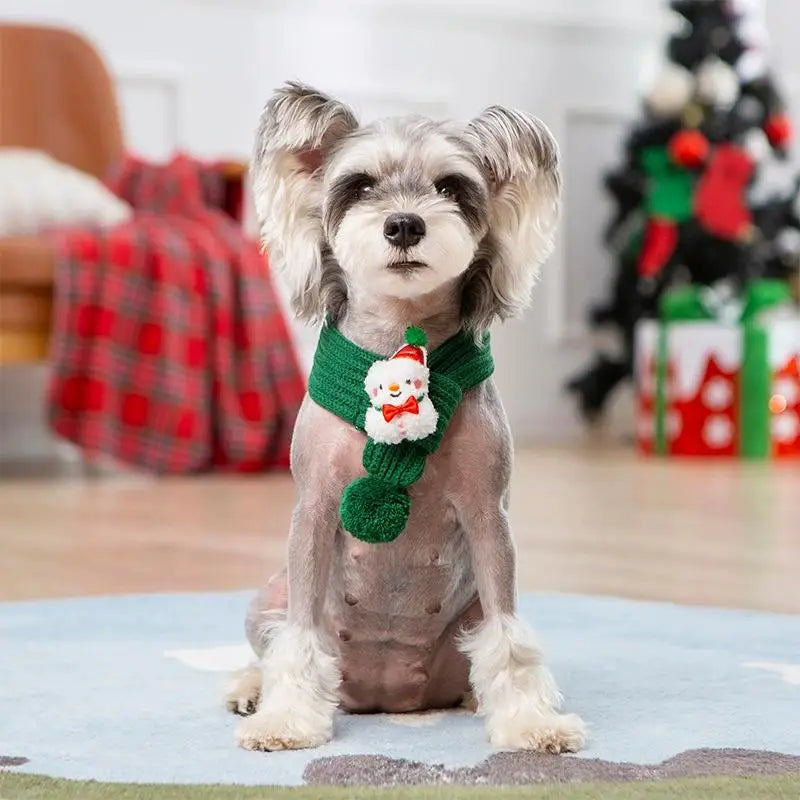 Knitted Pet Scarf Christmas Holiday Dog - MyPetDollar.com