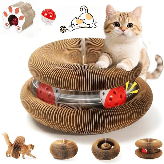 Magic Organ Cat Scratcher Board, Foldable - MyPetDollar.com