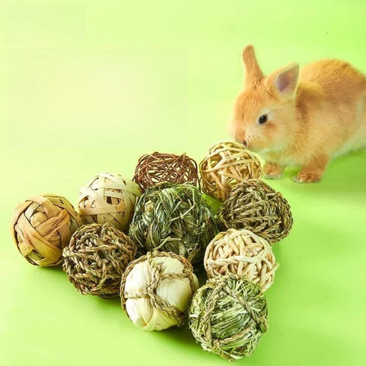 Natural Grass Chew Ball Toy for Guinea Pigs, - MyPetDollar.com