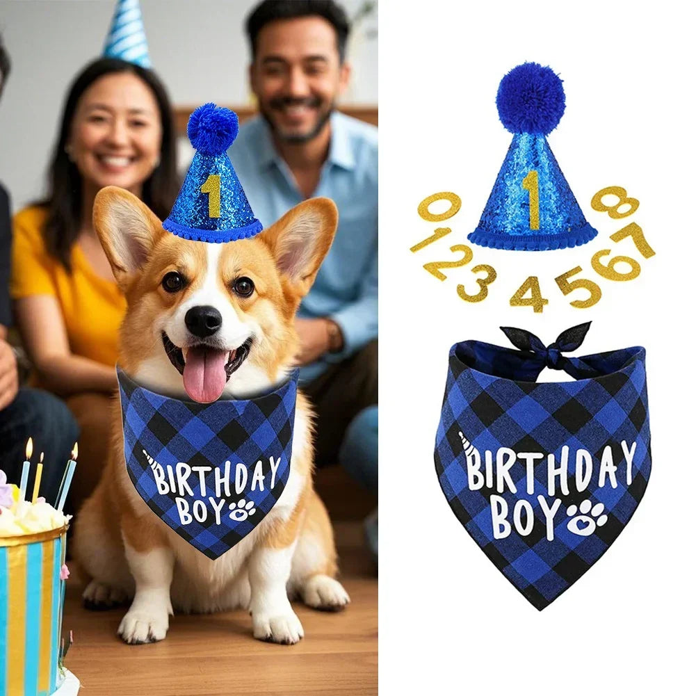 Pets Dog Happy Birthday Decoration Dog - MyPetDollar.com