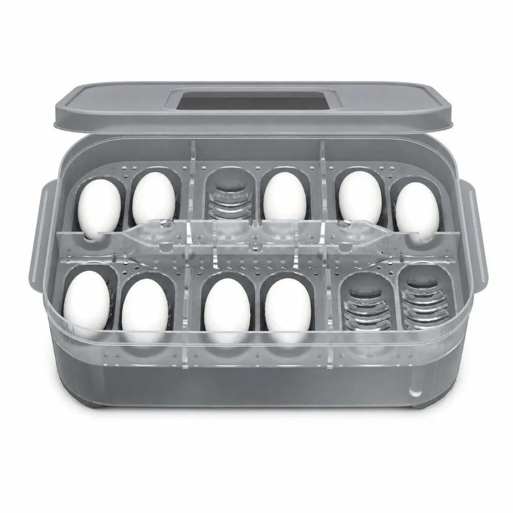 ABS Reptile Egg Incubator with Thermometer Hatching Container – 2 Colors