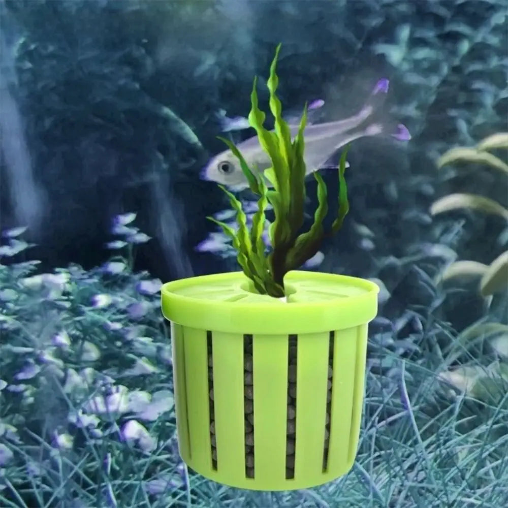 Water Plant Stand Fish Tank Hydroponic - MyPetDollar.com