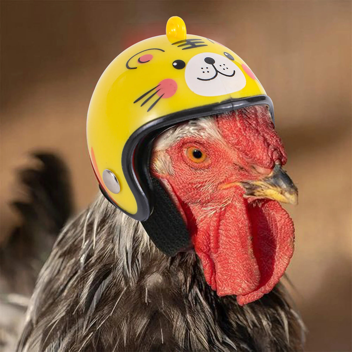 Funny Chicken Helmet Small Bird Duck Quail - MyPetDollar.com