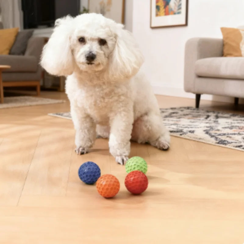 New Dog Toys Bite Resistant Interactive - MyPetDollar.com