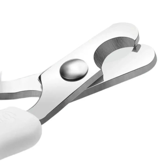 Cat Nail Scissors Pet Dog Nail Clippers Toe - MyPetDollar.com