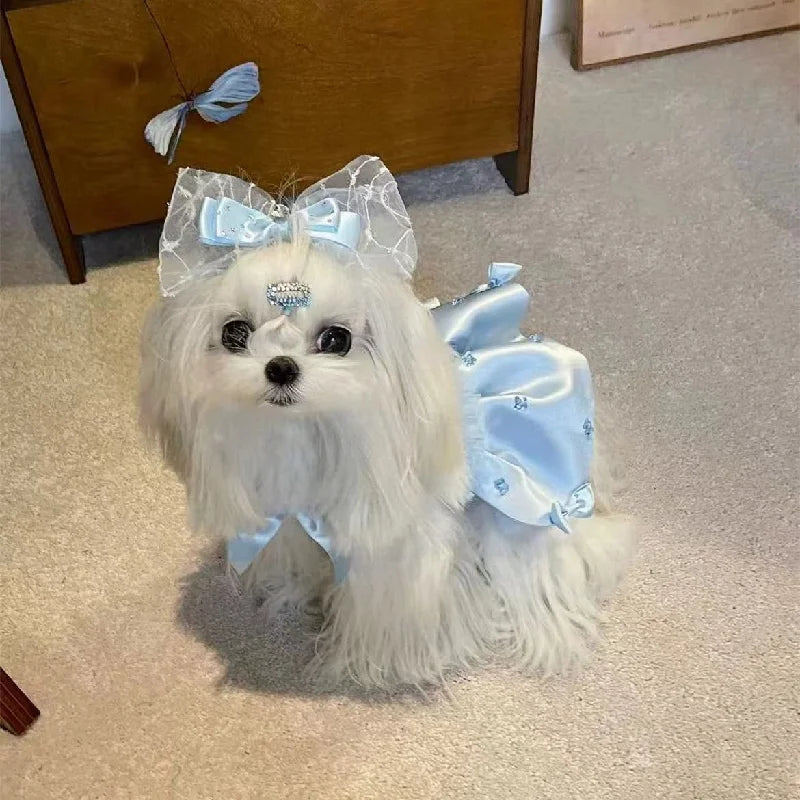 New fluffy princess dress for pets, - MyPetDollar.com