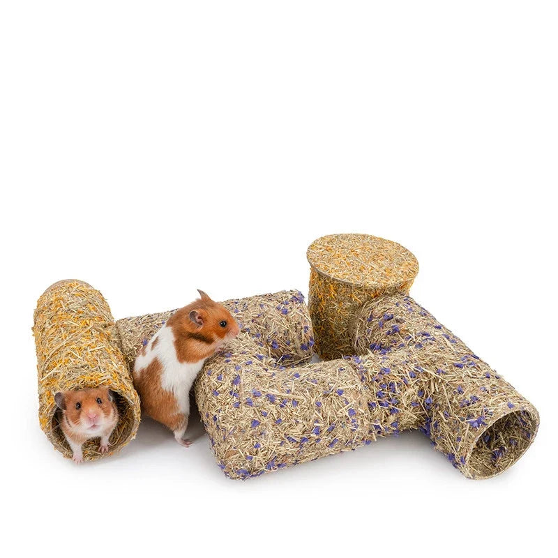 2027 Hamster Tunnel & Grass-Based Modular - MyPetDollar.com