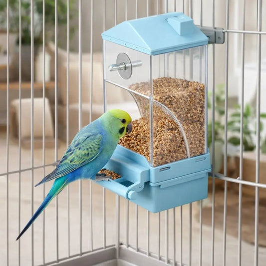 Transparent Automatic Bird Feeder Large - MyPetDollar.com