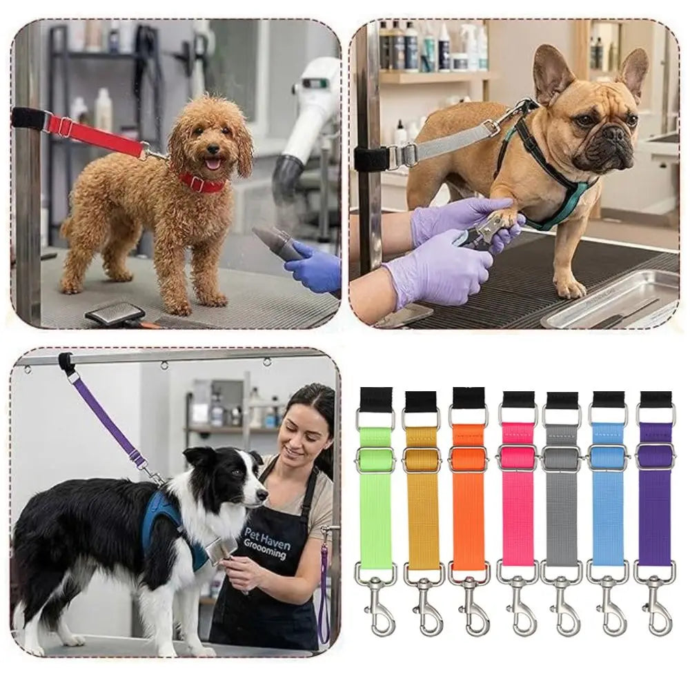 Basic Design Dog Grooming Leashes Elastic - MyPetDollar.com