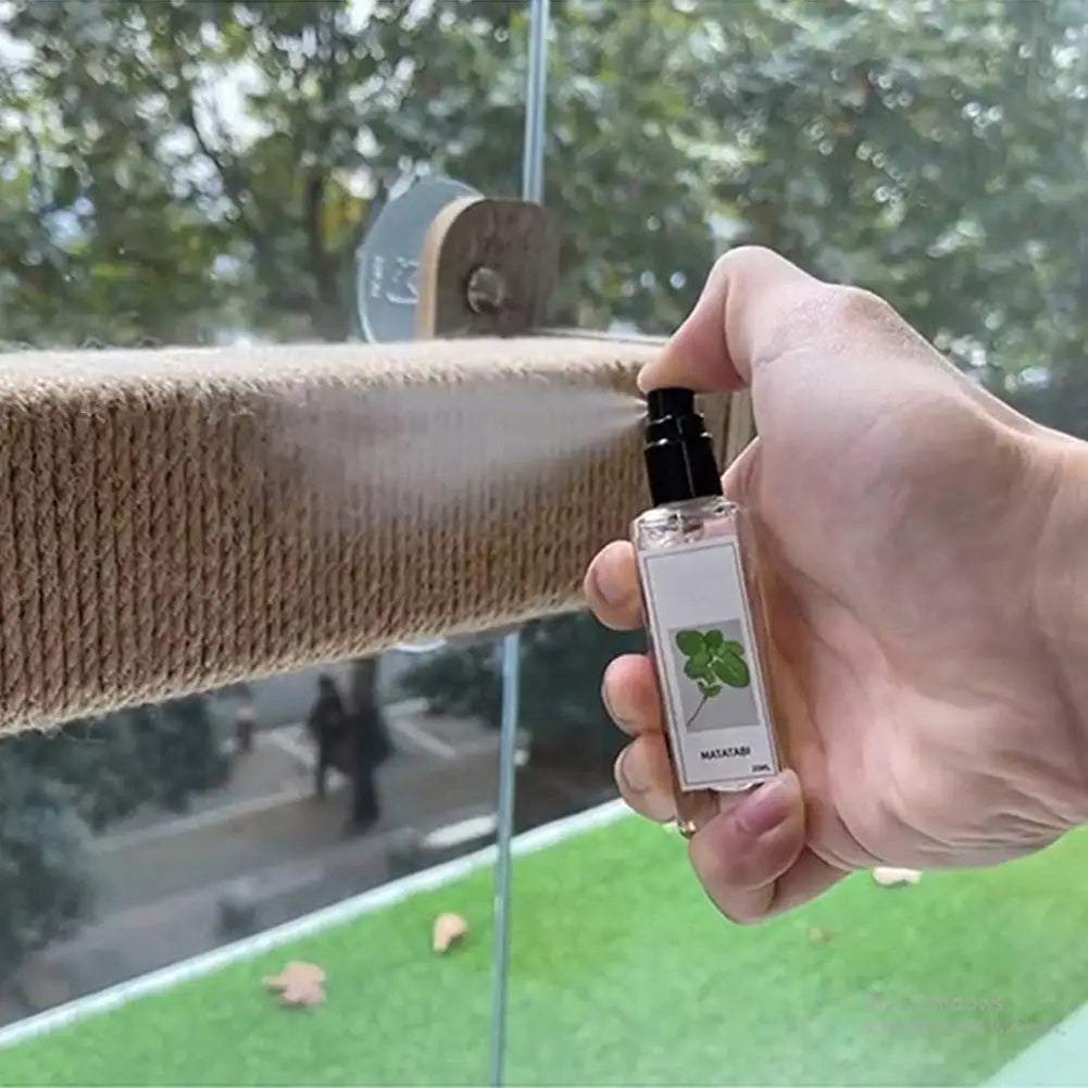 Cat Mint Spray Alleviates Cat's Anxiety and - MyPetDollar.com