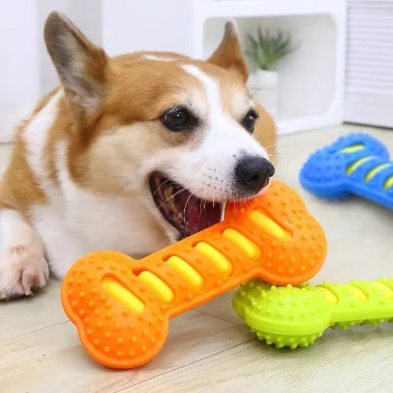 Dog Rubber Bone Chew Toy Squeaky Bite - MyPetDollar.com
