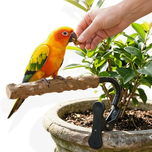 Adjustable Portable Natural Wood Bird Perch Stand (4 colors)