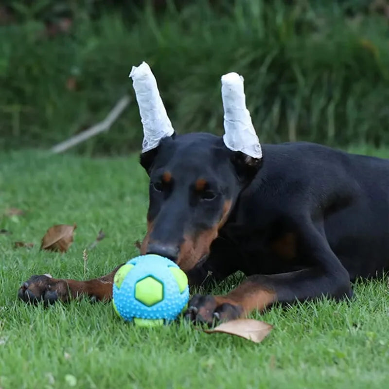 Pet TPR Toy Ball Interaction Pets Relieving - MyPetDollar.com