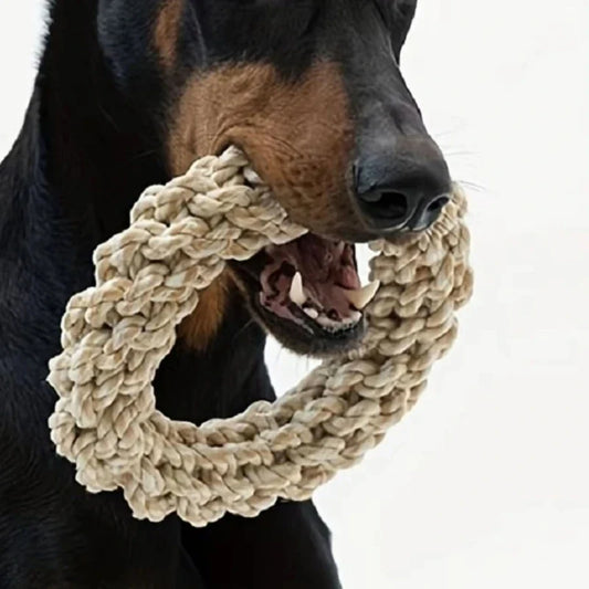 Pet Dog Rope Toys Durable Chew Bite - MyPetDollar.com