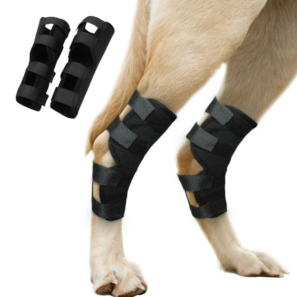 1 Pcs Breathable Dog Support Brace Joint - MyPetDollar.com